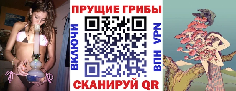 mega tor  Староминская  Галлюциногенные грибы прущие грибы 